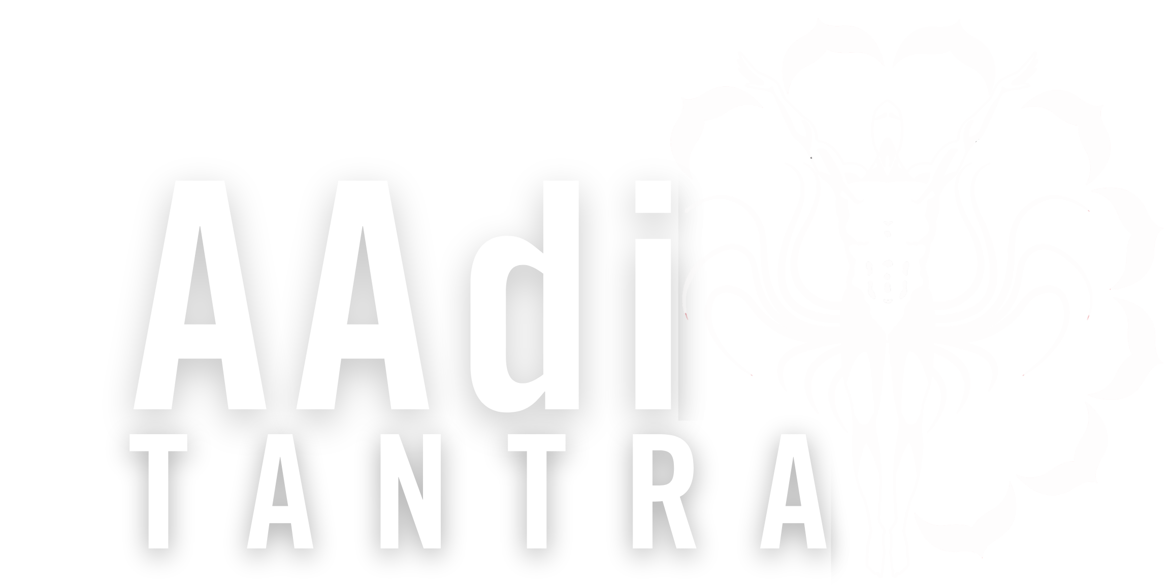 Aadi Sanctuary Footer Logo